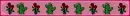 Cactus & Roses