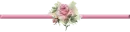 PInk Rose