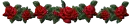 A row of red roses