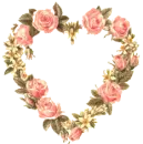 Heart rose