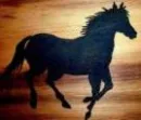 Pretty Horse
