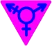 Transgender Pride - Medium