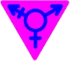 Transgender Pride - Large