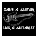 lick a guitarist