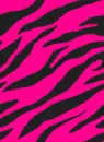 Pink Zebra Stripes