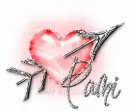 PAMI Heart n Arrow Red
