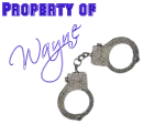 Handcuffs - Wayne