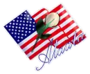 American Flag - Alaata