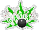 Gavin