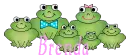 frogs with Brenda