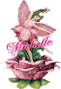 Fairyrose Pink - Michelle