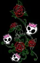 skulls