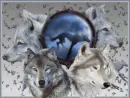 Wolves
