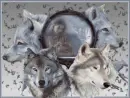 Native & Wolves