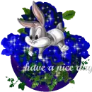 have a nice day