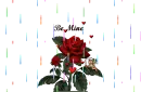 valentine
