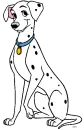 Dalmation
