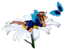 Butterfly fairy