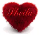 FURRY PILLOW: SHEILA