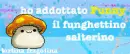 adottino funny