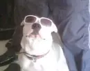 Super Star