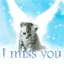 cute cat