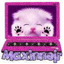 Maxinnerjr