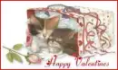HAPPY VALENTINE'S DAY