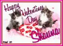 Kitty - Shauna