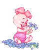 baby piglet