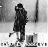 No Goodbye