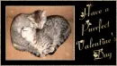 Kitty Valentines