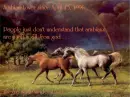 love arabians