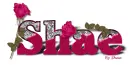 Shae-Pink Rose