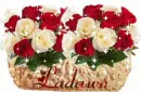 LADAWN