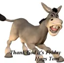 Donkey Thank God it's Friday