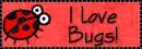 bugs