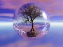 Tree in a Snowdome