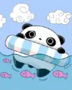 panda swim