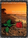 Memories of you