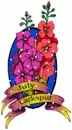 July Larkspur