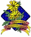 November Crysanthemum 