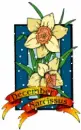 December Narcissus