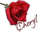 Cheryl.