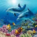 really pretty ocean picture