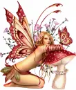 BUTTERFLY LADY