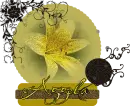 Aggela