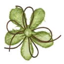 Green flower