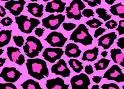 Pink Leopard Spots