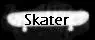 Skater Online